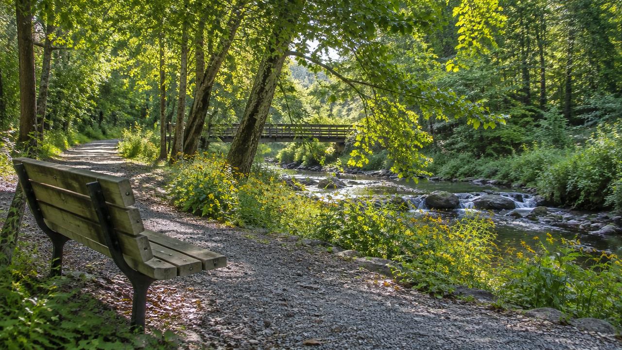 A shaded park bench beside a creek and footbridge